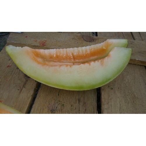 Ananas kavun