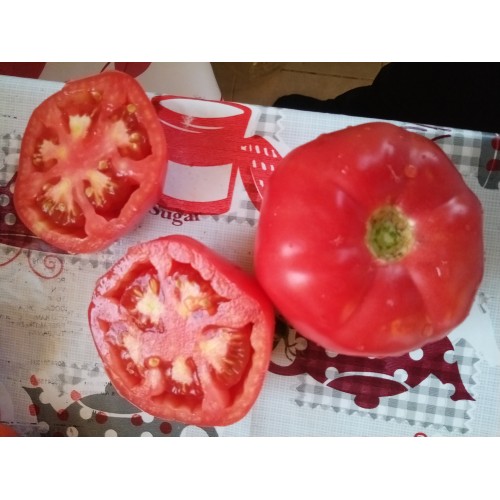 Denizli pembesi