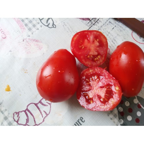 Kırmızı armut domates salçalık