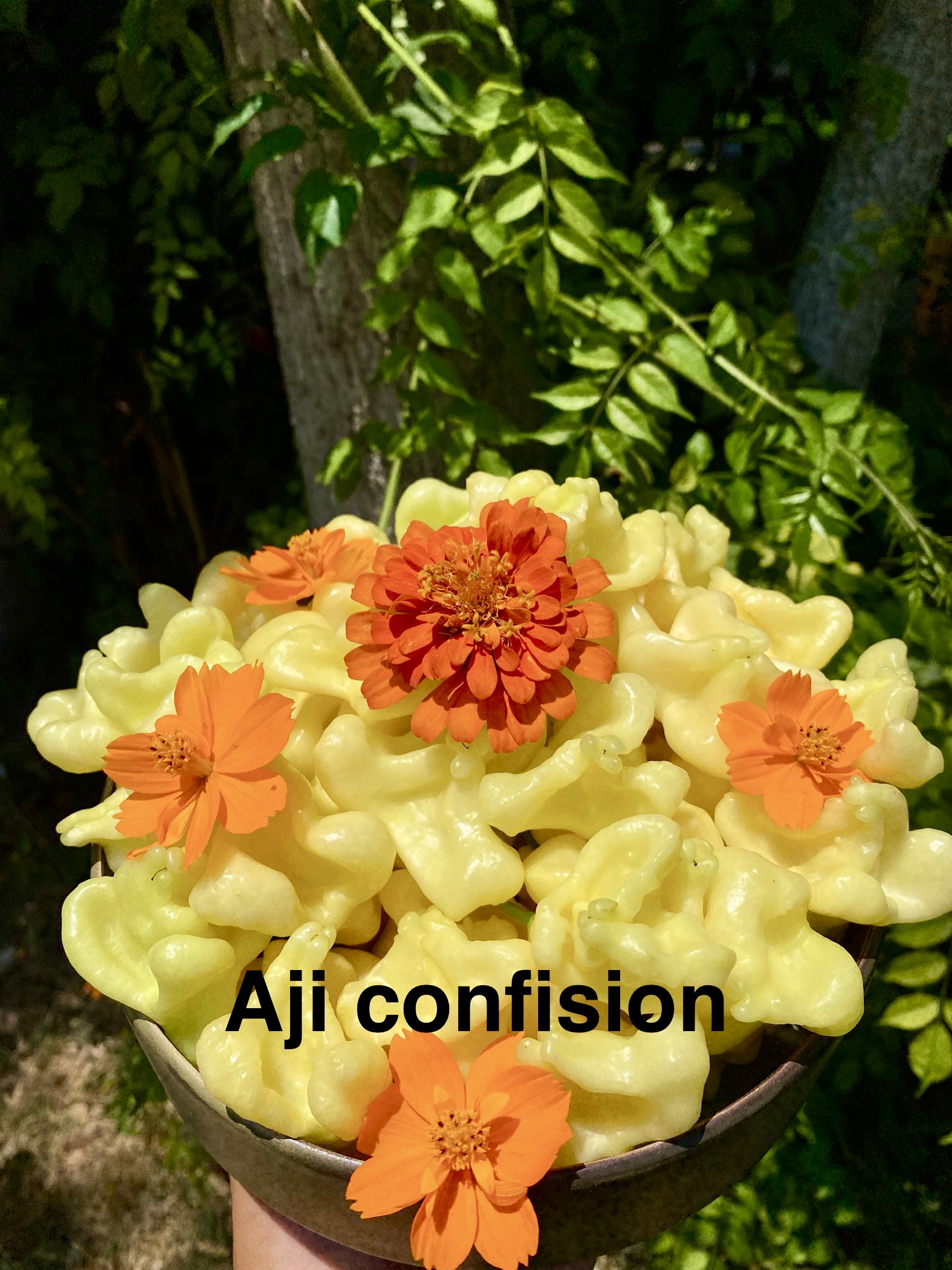 AJİ CONFİSİON BİBER 